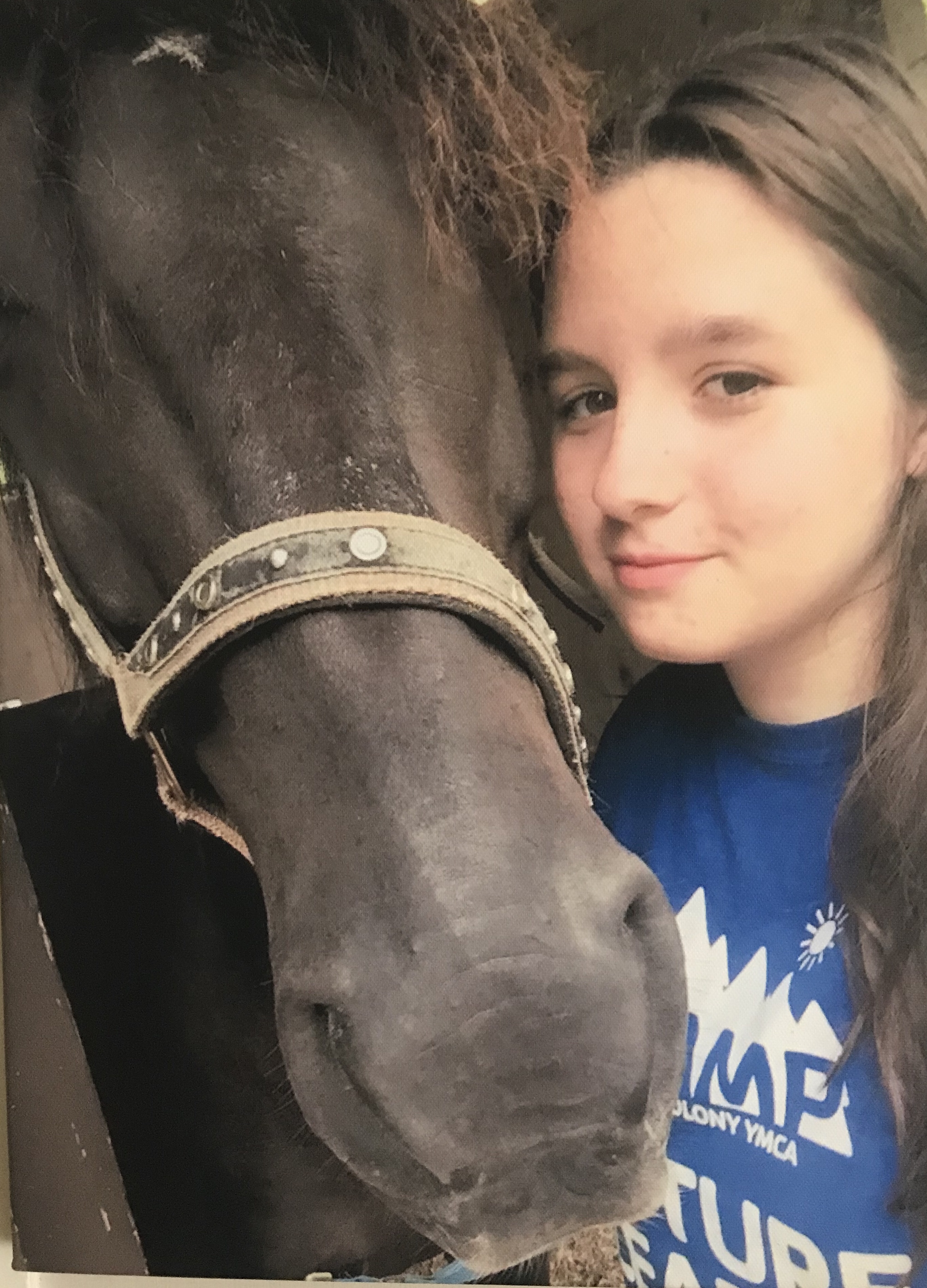 Essential Oils for Horses Yes! there's an OIL for that...